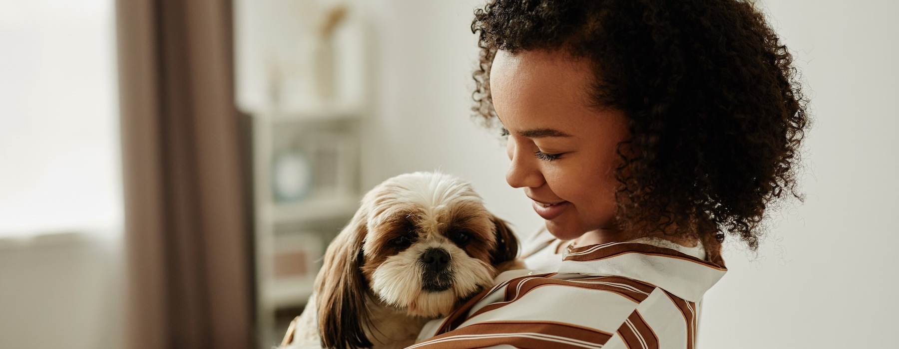 a person holding a dog